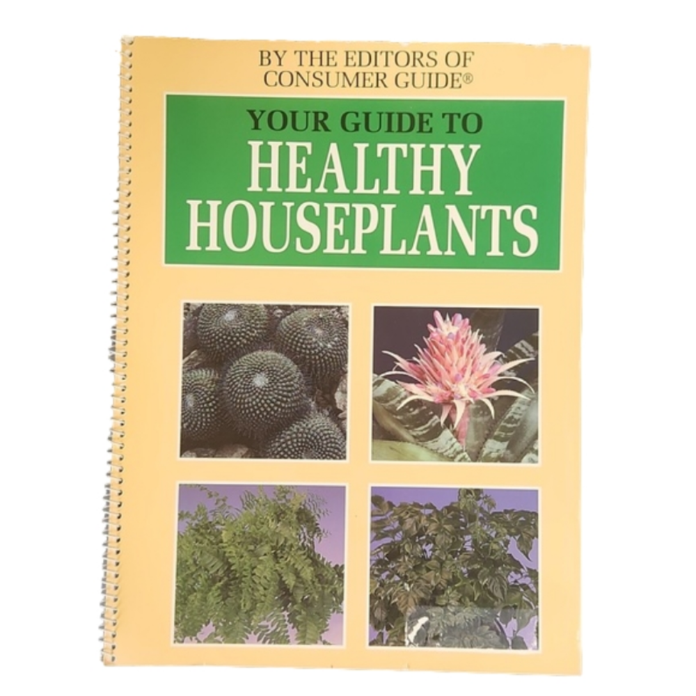 Your guide to healthier house plants